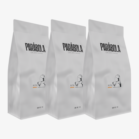 ARTE - 3 KG Blend Altas Montañas