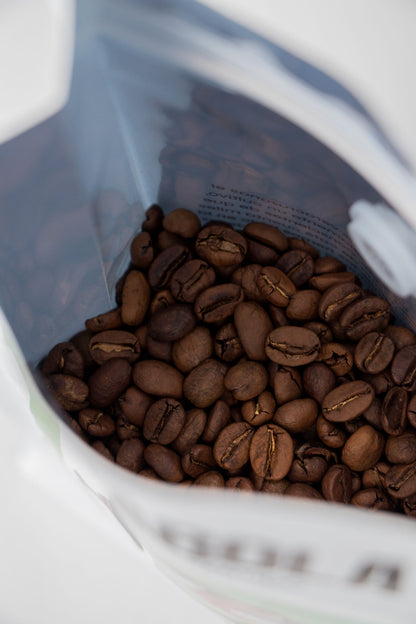 ARTE - BLEND ALTAS MONTAÑAS, VERACRUZ (1 KG)